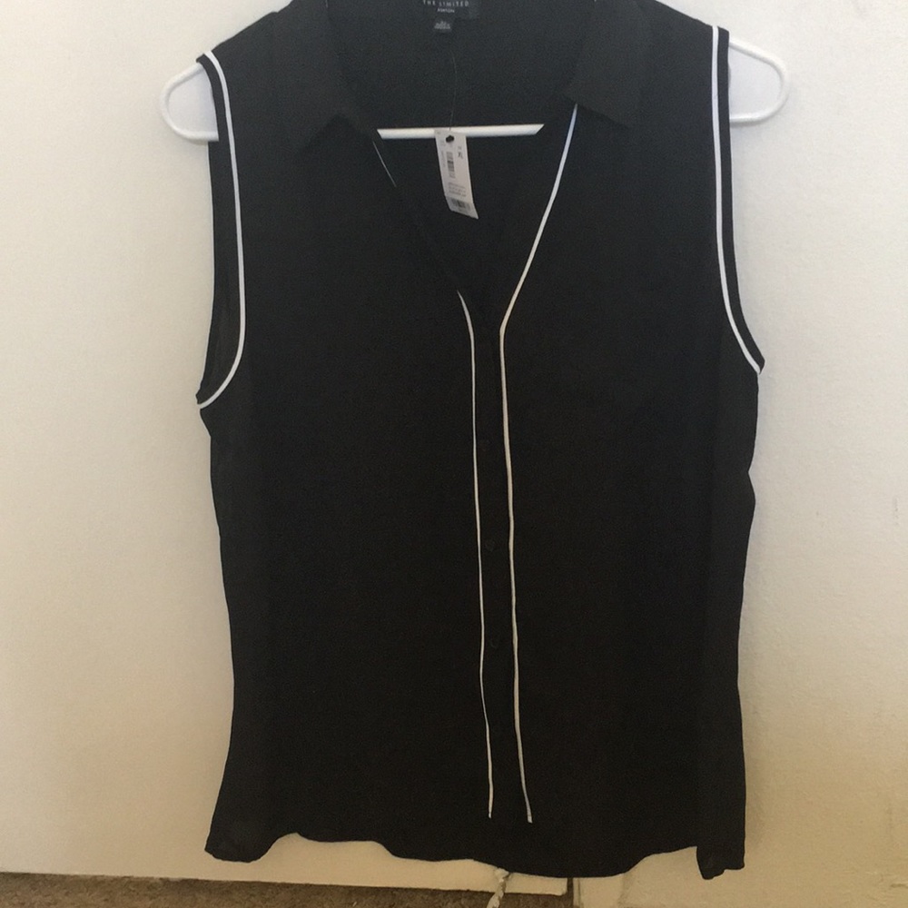 The Limited Ashton style collared top